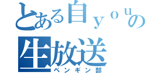 とある自ｙｏｕの生放送（ペンギン部）