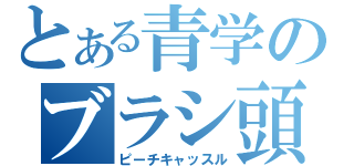 とある青学のブラシ頭（ピーチキャッスル）