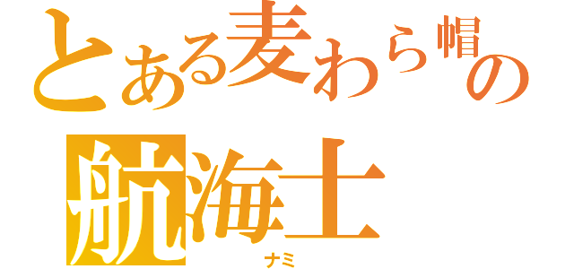 とある麦わら帽子の航海士（    ナミ    ）