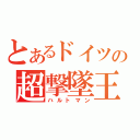 とあるドイツの超撃墜王（ハルトマン）