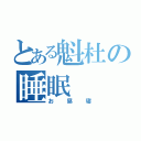 とある魁杜の睡眠（お昼寝）