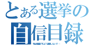 とある選挙の自信目録（今は地震ですよ？選挙しないで・・）