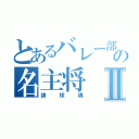 とあるバレー部の名主将Ⅱ（排球魂）