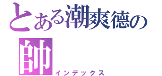 とある潮爽德の帥（インデックス）