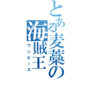 とある麦藁の海賊王（ワンピース）