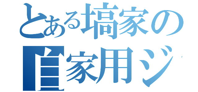 とある塙家の自家用ジェット機（）