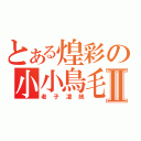 とある煌彩の小小鳥毛Ⅱ（老子凌統）