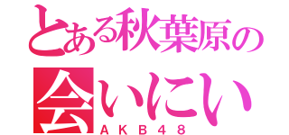 とある秋葉原の会いにいけるアイドル（ＡＫＢ４８）