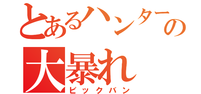 とあるハンター達の大暴れ（ビックバン）