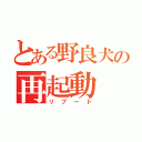 とある野良犬の再起動（リブート）