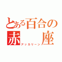 とある百合の赤  座（アッカリーン）