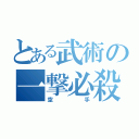 とある武術の一撃必殺（空手）