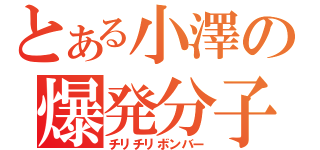 とある小澤の爆発分子（チリチリボンバー）