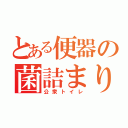 とある便器の菌詰まり（公衆トイレ）