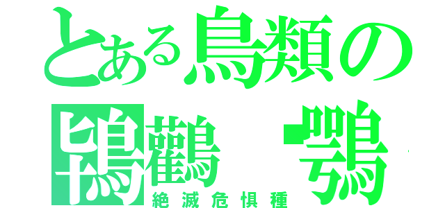 とある鳥類の鴇鸛鶽鶚（絶滅危惧種）