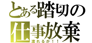 とある踏切の仕事放棄（渡れるか！！）