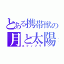 とある携帯獣の月と太陽（エフィブラ）