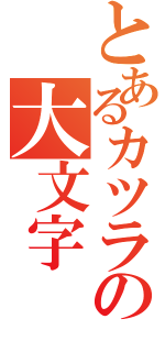 とあるカツラの大文字（）