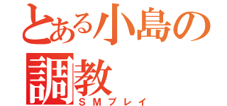 とある小島の調教（ＳＭプレイ）