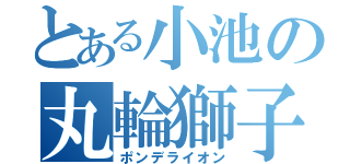 とある小池の丸輪獅子王（ポンデライオン）