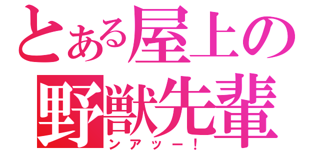 とある屋上の野獣先輩（ンアッー！）