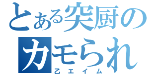 とある突厨のカモられ日常（乙エイム）