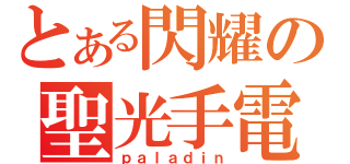 とある閃耀の聖光手電（ｐａｌａｄｉｎ）