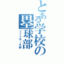 とある学校の塁球部（ソフトボール部）