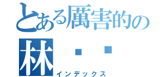 とある厲害的の林玟婷（インデックス）