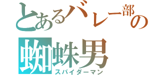 とあるバレー部の蜘蛛男（スパイダーマン）