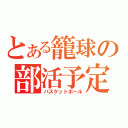 とある籠球の部活予定（バスケットボール）