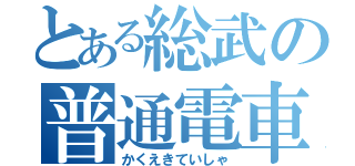 とある総武の普通電車（かくえきていしゃ）