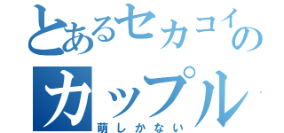 とあるセカコイののカップル（萌しかない）