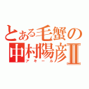 とある毛蟹の中村陽彦Ⅱ（アキール）