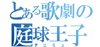 とある歌劇の庭球王子（テニミュ）