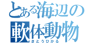 とある海辺の軟体動物（さとうひかる）