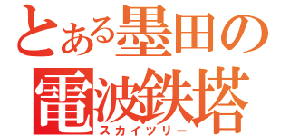 とある墨田の電波鉄塔（スカイツリー）