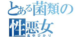 とある菌類の性悪女（北中ひかり）