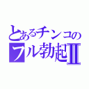 とあるチンコのフル勃起Ⅱ（）