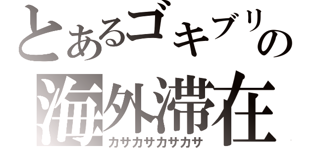 とあるゴキブリの海外滞在（カサカサカサカサ）