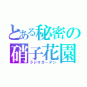 とある秘密の硝子花園（ラジオガーデン）