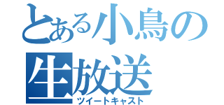 とある小鳥の生放送（ツイートキャスト）