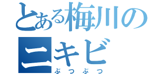 とある梅川のニキビ（ぶつぶつ）