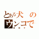 とある犬のウンコで（泥団子）