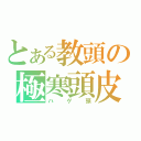 とある教頭の極寒頭皮（ハゲ頭）