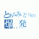 とあるみどりの爆 発（クリーパー）