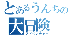 とあるうんちの大冒険（アドベンチャー）