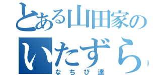 とある山田家のいたずら（なちび達）