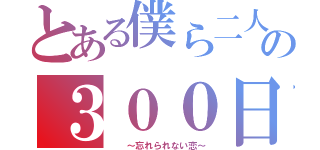 とある僕ら二人の３００日間（　　～忘れられない恋～）