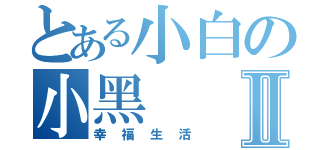 とある小白の小黑Ⅱ（幸福生活）